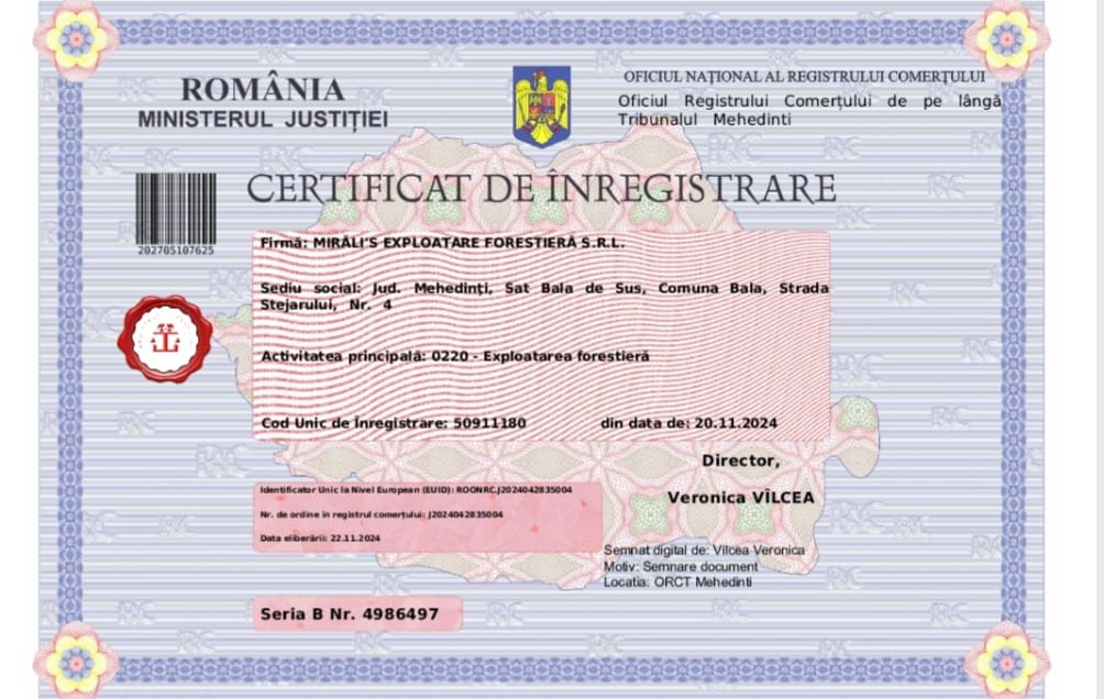 WhatsApp Image 2024-11-22 at 13.38.20