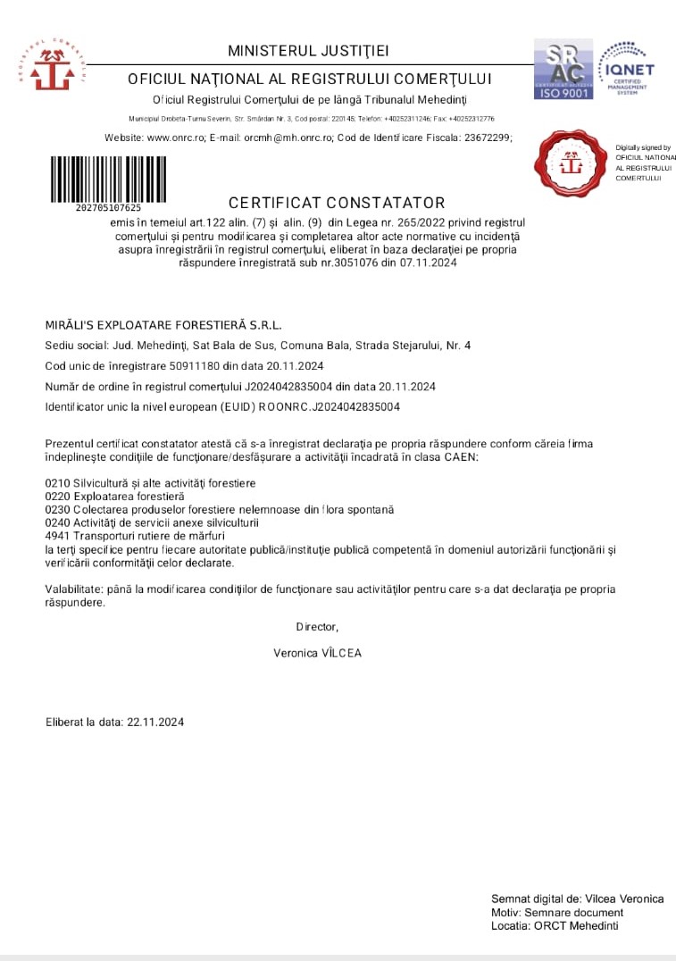 WhatsApp Image 2024-11-22 at 13.39.21